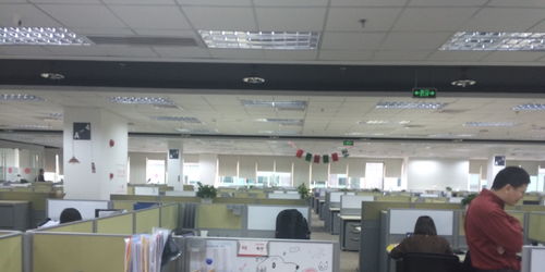 看准网 技术驱动的人力资源服务平台